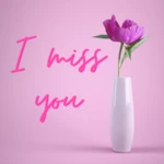 i miss you messages & quotes android application logo